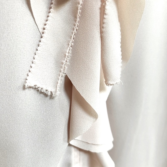 Banana Republic Chiffon Blouse - Picture 5 of 6